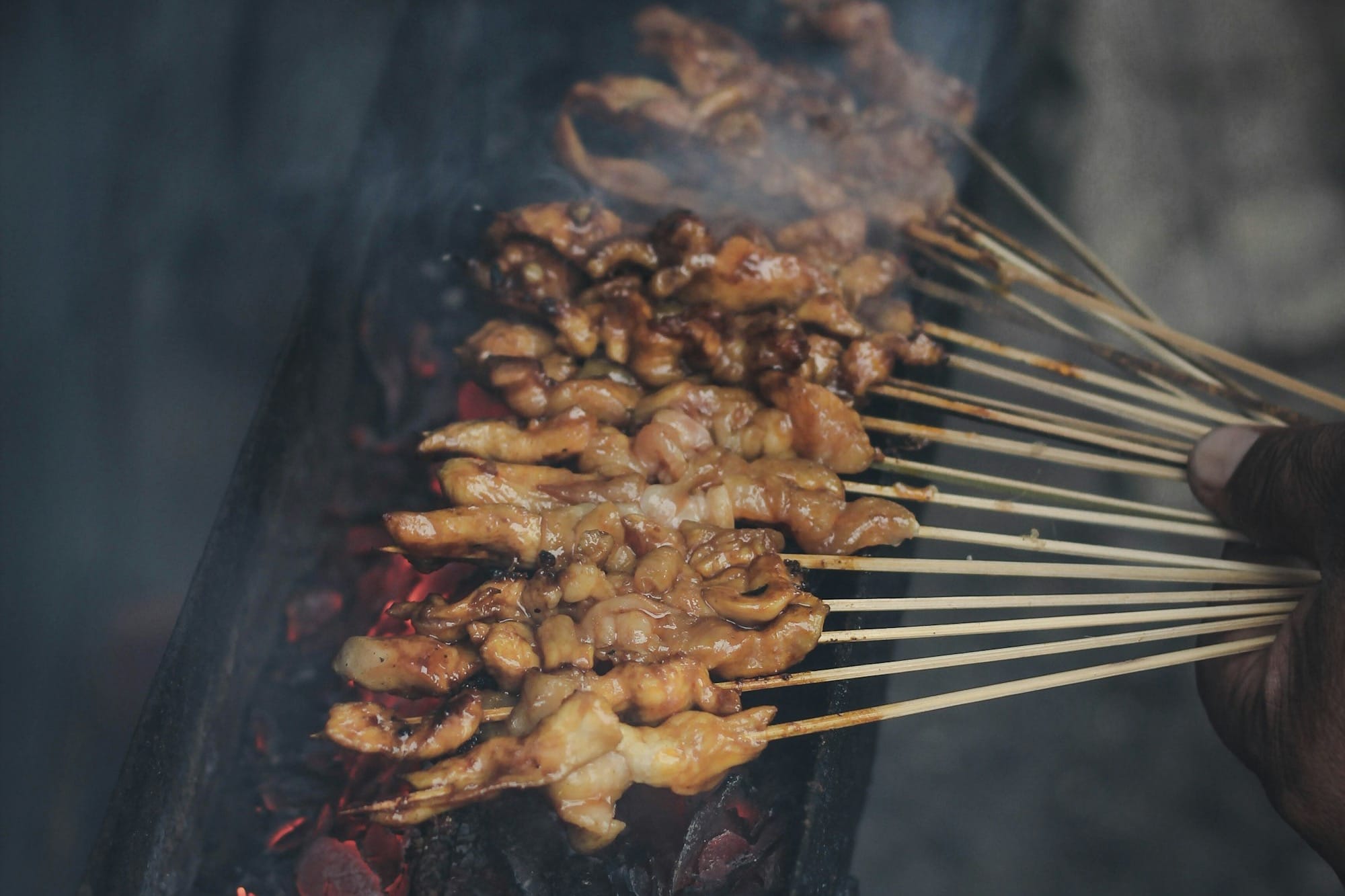 person holding skewered meat